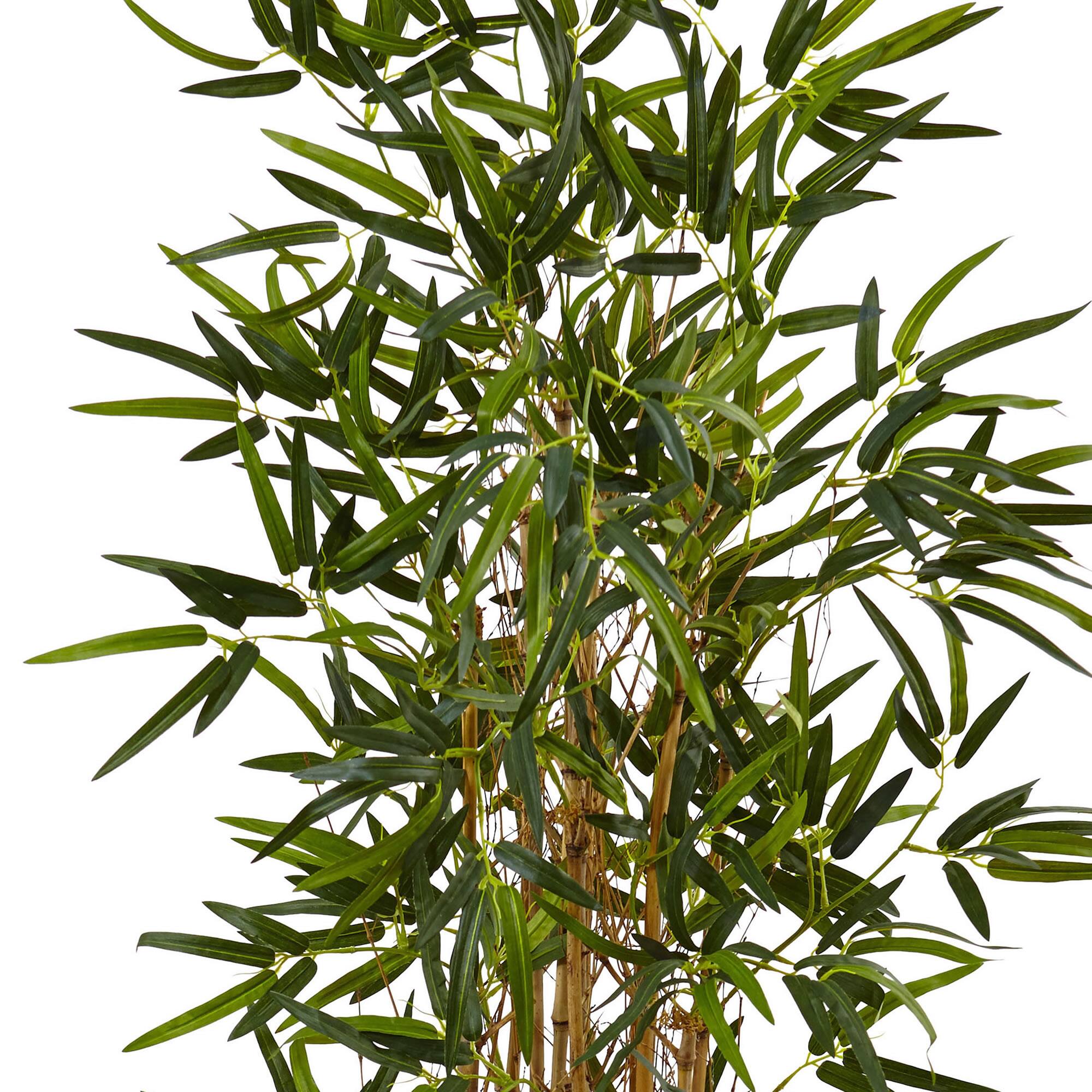 4.5ft. Bamboo Tree in Bamboo Tower Planter